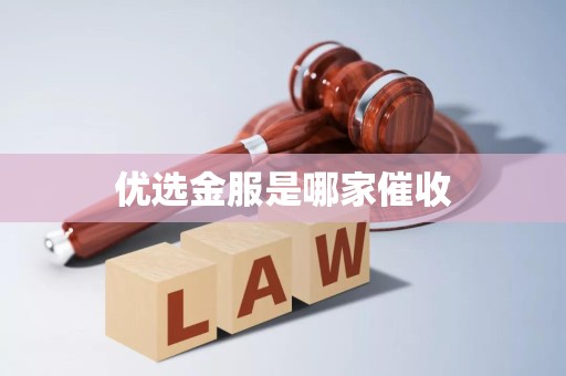 優(yōu)選金服的催收機(jī)制與其在金融機(jī)構(gòu)外包服務(wù)中的角色