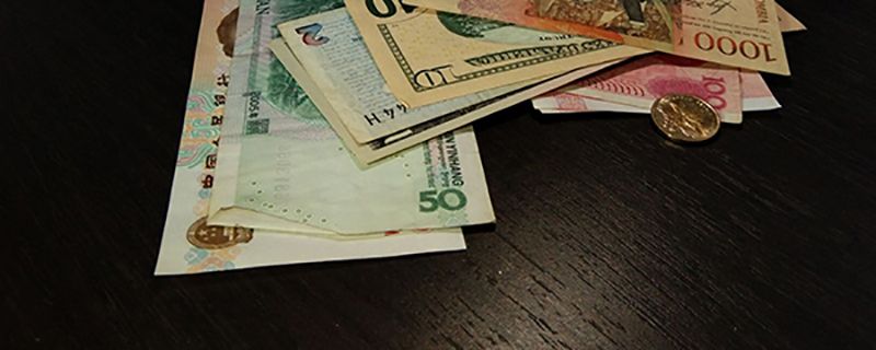普蘭金融？真相探究 金融信息技術(shù)外包的謎與人參米的類比